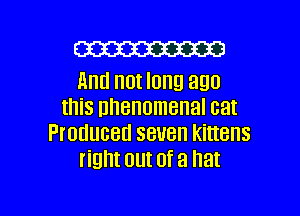 (W

HRH not long 890
this phenomenal cat

PIOUUGBU SBUBH kittens
right out Of a hat