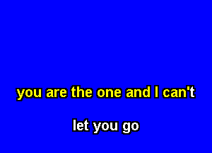 you are the one and I can't

let you go