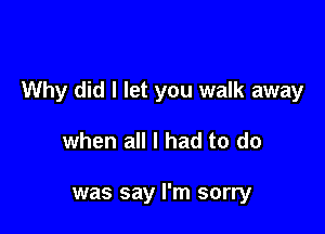 Why did I let you walk away

when all I had to do

was say I'm sorry