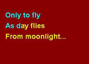 Only to fly
As day flies

From moonlight...