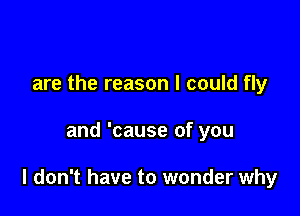 are the reason I could fly

and 'cause of you

I don't have to wonder why