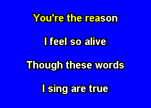 You're the reason

I feel so alive

Though these words

I sing are true