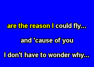 are the reason I could fly...

and 'cause of you

I don't have to wonder why...