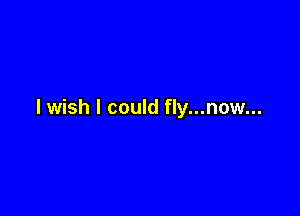 I wish I could fly...now...