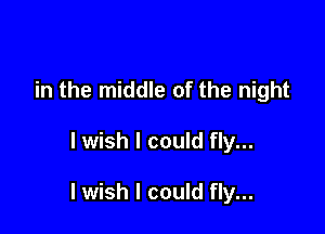 in the middle of the night

I wish I could fly...

I wish I could fly...