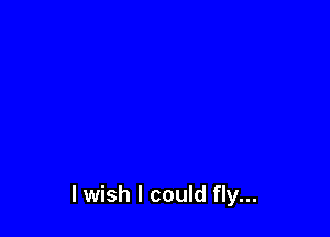 I wish I could fly...