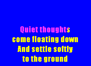 Quietthoughts

come floating down
And settle softly
t0 the ground