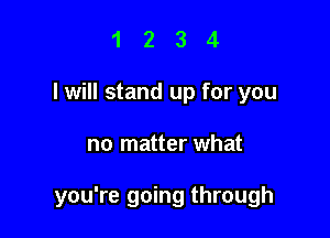 1 2 3 4
I will stand up for you

no matter what

you're going through