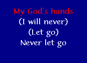 (I will never)

(Let go)

Never let go