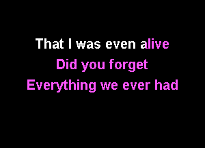 That I was even alive
Did you forget

Everything we ever had