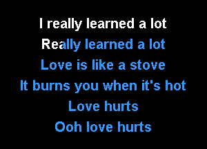 I really learned a lot
Really learned a lot
Love is like a stove

It burns you when it's hot
Love hurts
Ooh love hurts