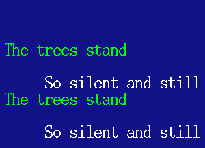 The trees stand

So silent and still
The trees stand

So silent and still
