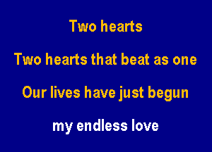 Two hearts

Two hearts that beat as one

Our lives have just begun

my endless love
