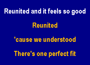 Reunited and it feels so good
Reunited

'cause we understood

There's one perfect fit