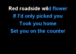 Red roadside wild flower
If I'd only picked you
Took you home

Set you on the counter