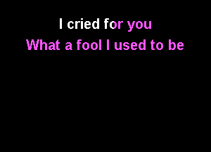 I cried for you
What a fool I used to be