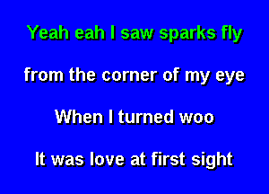 Yeah eah I saw sparks fly
from the corner of my eye

When I turned woo

It was love at first sight