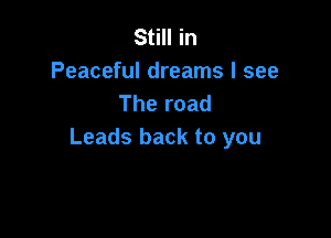 Still in
Peaceful dreams I see
The road

Leads back to you