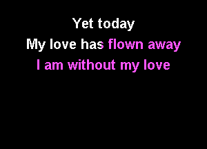 Yet today
My love has flown away
I am without my love