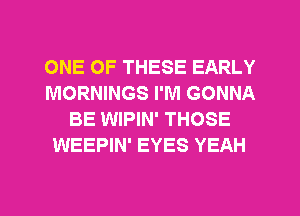 ONE OF THESE EARLY
MORNINGS I'M GONNA
BE WIPIN' THOSE
WEEPIN' EYES YEAH