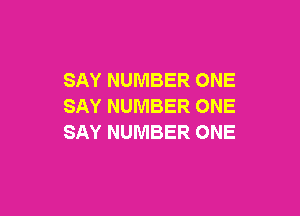 SAY NUMBER ONE
SAY NUMBER ONE

SAY NUMBER ONE