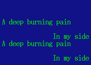 A deep burning pain

In my side
A deep burning pain

In my side