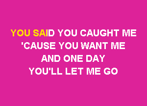 YOU SAID YOU CAUGHT ME
'CAUSE YOU WANT ME

AND ONE DAY
YOU'LL LET ME GO