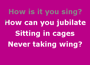 How is it you sing?
How can you jubilate
Sitting in cages
Never taking wing?