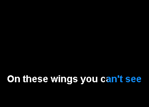 On these wings you can't see