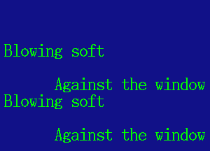 Blowing soft

Against the window
Blowing soft

Against the window