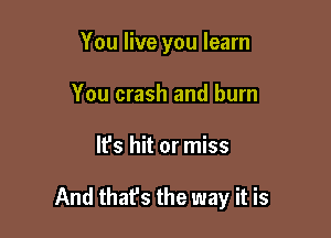 You live you learn
You crash and burn

It's hit or miss

And thafs the way it is