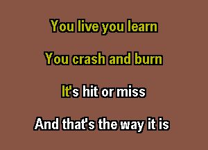 You live you learn
You crash and burn

It's hit or miss

And thafs the way it is