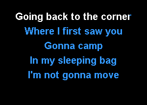 Going back to the corner
Where I first saw you
Gonna camp

In my sleeping bag
I'm not gonna move