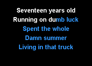 Seventeen years old
Running on dumb luck
Spent the whole

Damn summer
Living in that truck