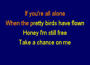 If you're all alone
When the pretty birds have flown

Honey I'm still free

Take a chance on me