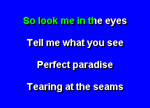 So look me in the eyes
Tell me what you see

Perfect paradise

Tearing at the seams