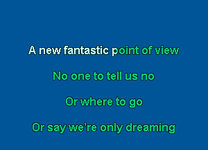 A new fantastic point of view
No one to tell us no

0r where to go

Or say we're only dreaming