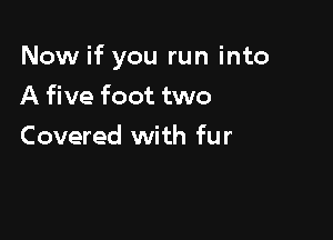 Now if you run into

A five foot two
Covered with fur