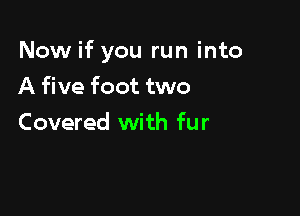 Now if you run into

A five foot two
Covered with fur