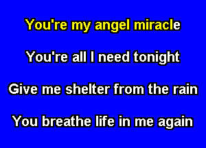 You're my angel miracle
You're all I need tonight
Give me shelter from the rain

You breathe life in me again