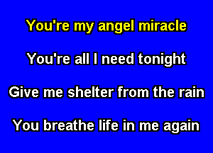You're my angel miracle
You're all I need tonight
Give me shelter from the rain

You breathe life in me again