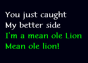 You just caught
My better side

I'm a mean ole Lion
Mean ole lion!