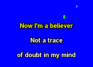 n
Now I'm a believer

Not a trace

of doubt in my mind