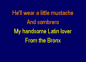 He'll wear a little mustache
And sombrero

My handsome Latin lover
From the Bronx