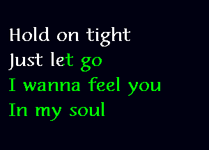 Hold on tight
Just let go

I wanna feel you
In my soul