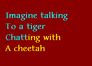 Imagine talking
To a tiger

Chatting with
A cheetah