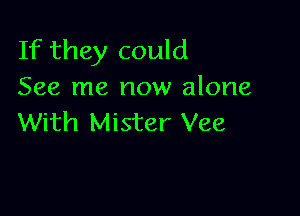 If they could
See me now alone

With Mister Vee