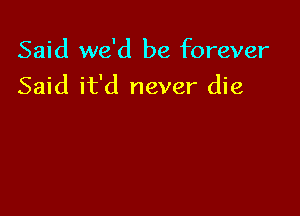 Said we'd be forever
Said it'd never die