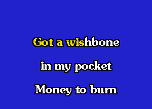 Got a wishbone

in my pocket

Money to burn