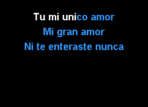 Tu mi unico amor
Mi gran amor
Ni te enteraste nunca